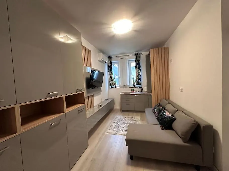 Cozy 1 Bedroom Apartment! Bucharest Romania